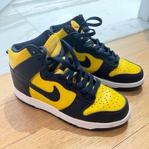 Nike Dunks Michigan
